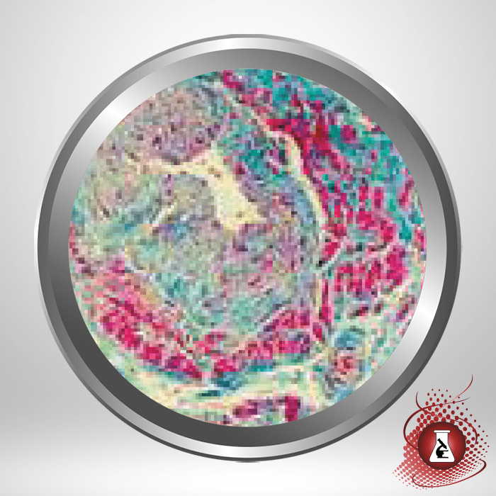 K7228 Masson Trichrome Stain Kit