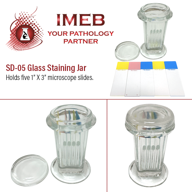 SD-05 Holds 5 Slides