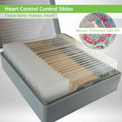 Heart Control Slide