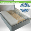 Small Intestine Control Slide Set