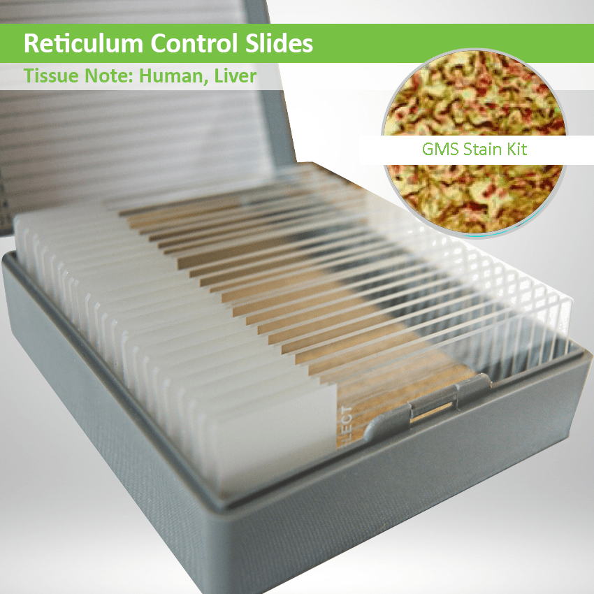 Reticulum Control Slide Set