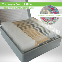 Trichrome Control Slide Set