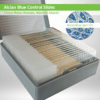 Alcian Blue Control Slides