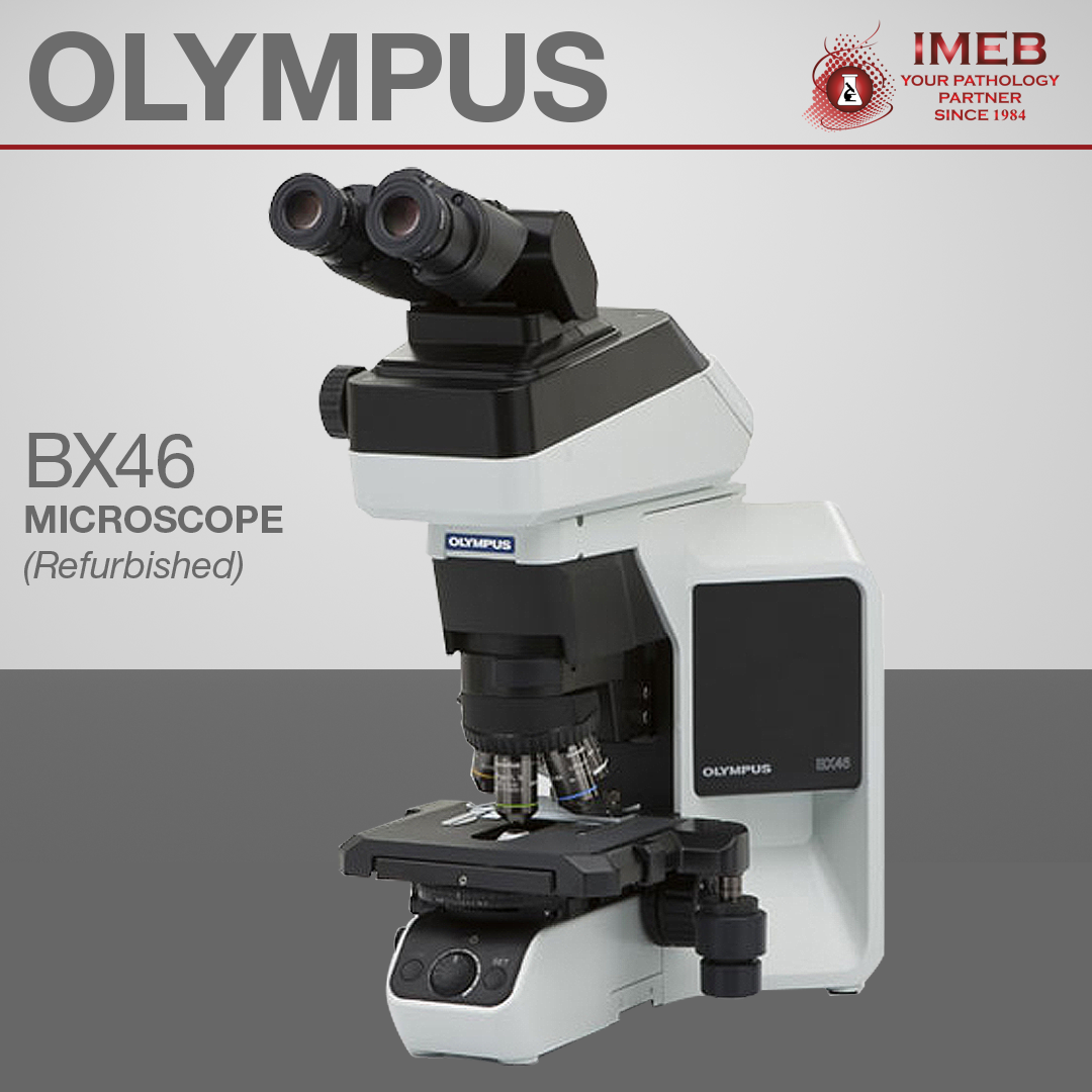 Olympus BX46 Microscope refurbished by IMEB Inc