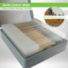 Aorta CS033 Control Slides