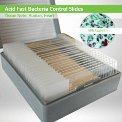 Acid Fast Bath Control Slide with AFB Stain Kit