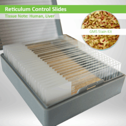 Reticulum Control Slide Set