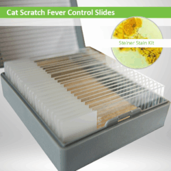 Cat Scratch Fever Control Slides